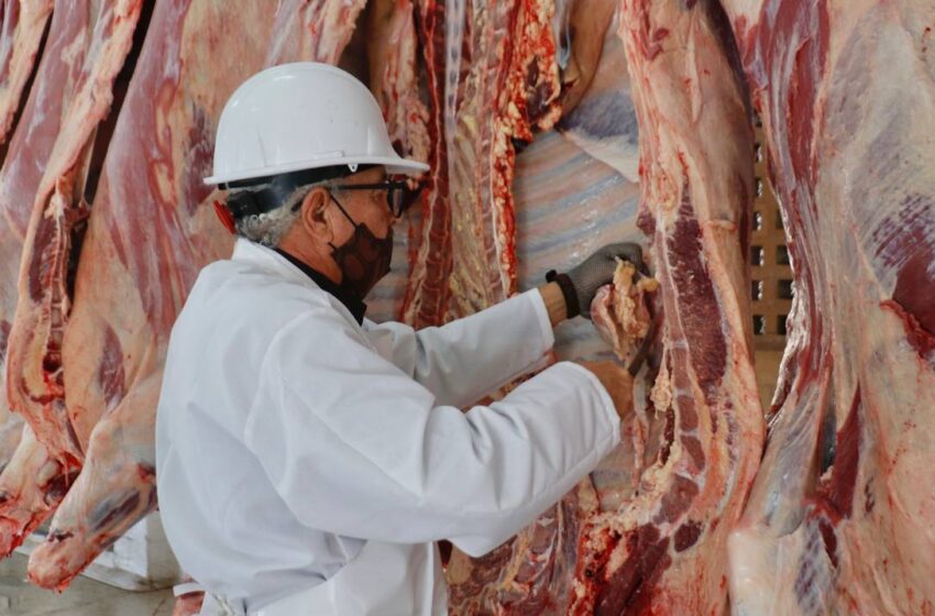  BUSCAN REACTIVAR LAS CARNICERÍAS DE BARRIO 