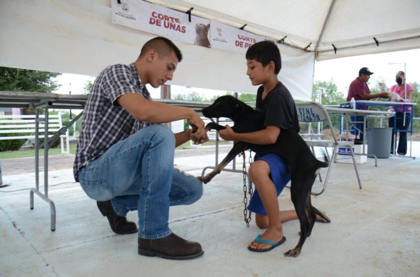  ACUDEN VECINOS A BRIGADA MÉDICA Y DE SALUD ANIMAL EN COL. SANTA CECILIA