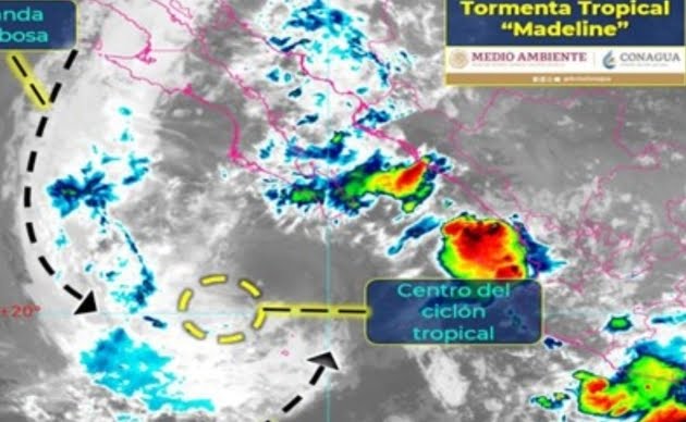  𝐓𝐎𝐑𝐌𝐄𝐍𝐓𝐀 𝐓𝐑𝐎𝐏𝐈𝐂𝐀𝐋 𝐌𝐀𝐃𝐄𝐋𝐈𝐍𝐄 𝐓𝐑𝐀𝐄𝐑Á 𝐋𝐋𝐔𝐕𝐈𝐀𝐒