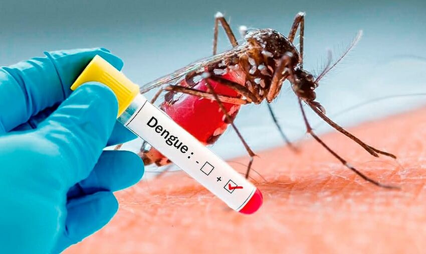  REPORTAN PRIMER CASO DE DENGUE HEMORRÁGICO.