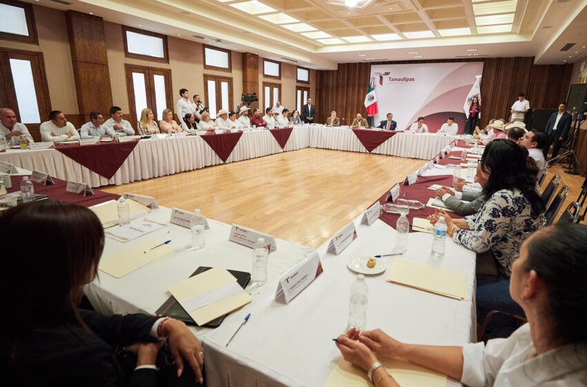  𝐀𝐦é𝐫𝐢𝐜𝐨 𝐕𝐢𝐥𝐥𝐚𝐫𝐫𝐞𝐚𝐥 𝐠𝐚𝐫𝐚𝐧𝐭𝐢𝐳𝐚 𝐚 𝐥𝐨𝐬 𝐚𝐥𝐜𝐚𝐥𝐝𝐞𝐬 𝐭𝐫𝐚𝐭𝐨 𝐝𝐢𝐫𝐞𝐜𝐭𝐨 𝐬𝐢𝐧 𝐢𝐧𝐭𝐞𝐫𝐦𝐞𝐝𝐢𝐚𝐫𝐢𝐨𝐬