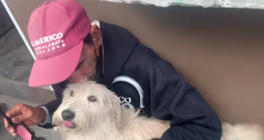  HOMBRE INVIDENTE LOCALIZA A SU PERRO.