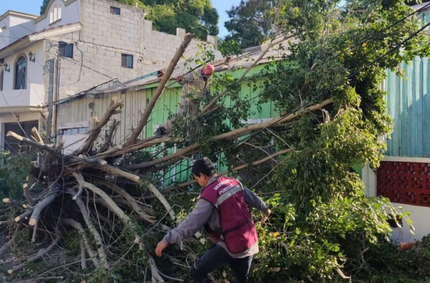  Daños materiales deja el primer norte en Altamira 