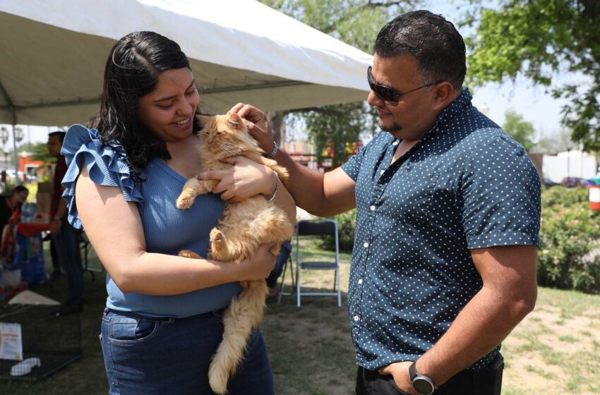  BRINDA GOBIERNO MUNICIPAL HOGAR A MASCOTAS RESCATADAS CON FERIA DE ADOPCIÓN