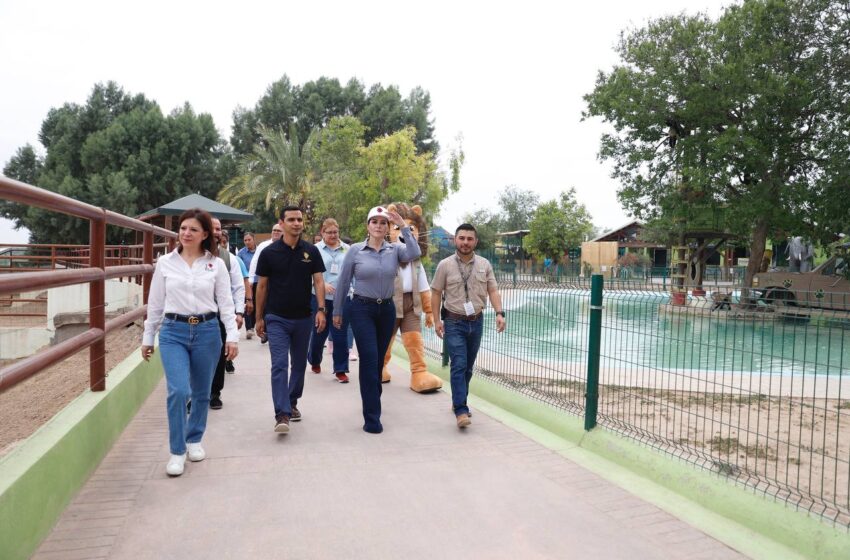  AVANZA REHABILITACIÓN DEL “SERENGUETI” EN EL ZOOLÓGICO