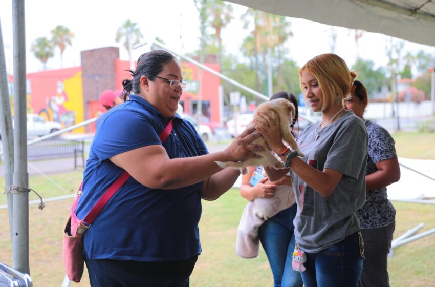  ACOGEN FAMILIAS A 29 MASCOTAS DURANTE LA FERIA DE LA ADOPCIÓN