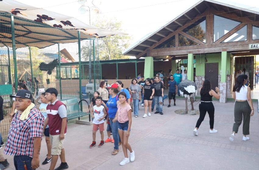  Nuevos Horarios y Experiencias en el Zoológico y Acuario de Nuevo Laredo
