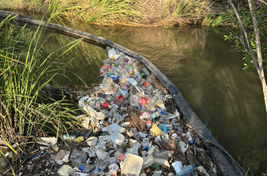  RED DE PET RECOLECTA MÁS DE 1.2 TONELADAS DE BASURA Y PROTEGE LOS ECOSISTEMAS DE NUEVO LAREDO
