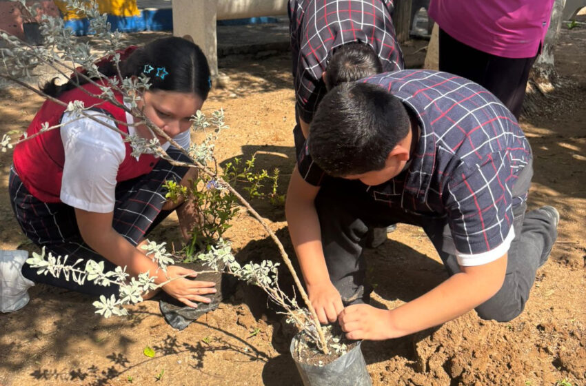  IMPULSAN FORESTACIÓN Y CUIDADO DEL MEDIO AMBIENTE EN ESCUELA LAURO AGUIRRE