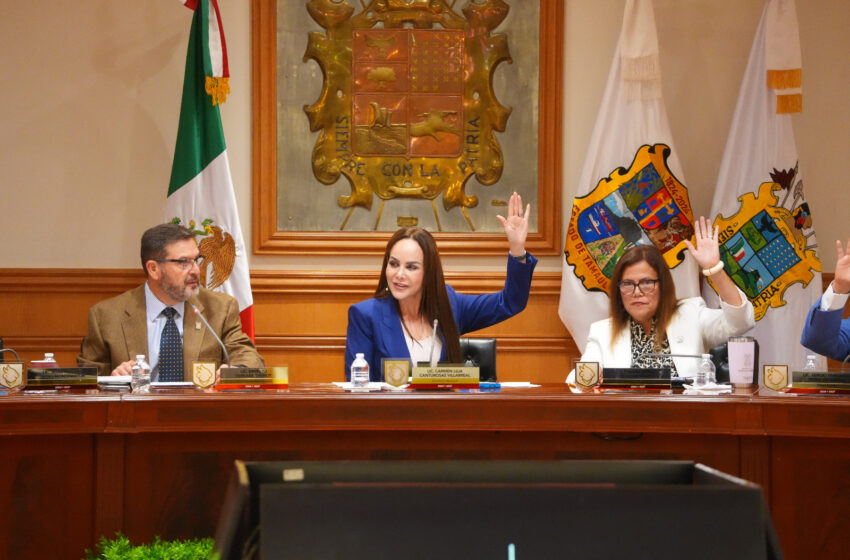  IMPULSA CARMEN LILIA CANTUROSAS POLÍTICA AMBIENTAL DE LARGO PLAZO PARA UN NUEVO LAREDO MÁS VERDE Y RESILIENTE